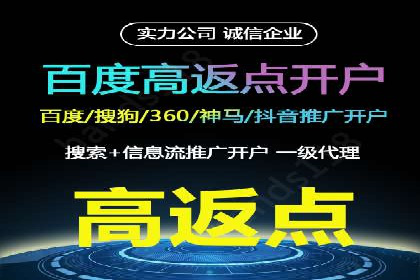 百度广告竞价之成功案例：某行业领军企业的崛起之路